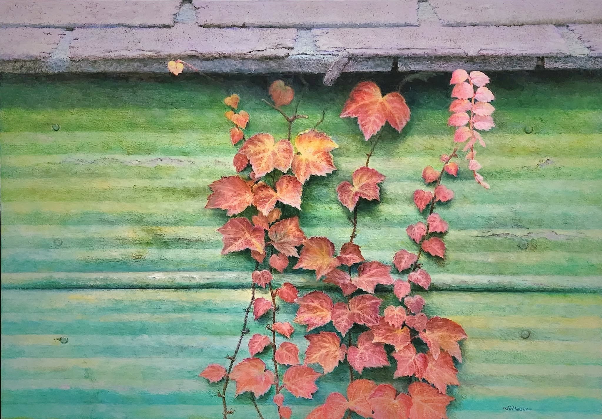 Autumn vine leaves in warm orange and red tones against weathered green wooden siding